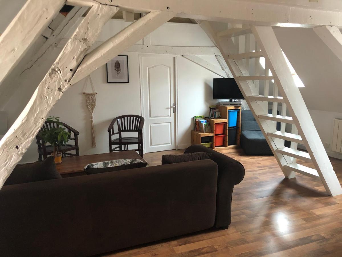 Le Grand Appartement - 90M2- 2 Chb , 1 Mezzanine - 6Pers ロモランタン エクステリア 写真